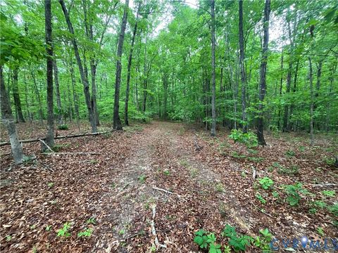 Tiny photo for XX W James Anderson Highway, Gladstone, VA 24553 (MLS # 2610757)