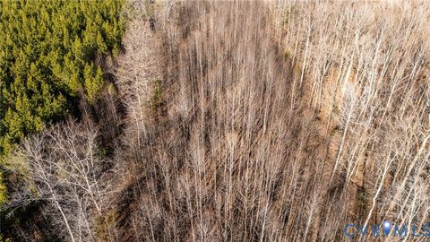 Tiny photo for Rte 623 Worsham Road, Powhatan, VA 23139 (MLS # 2601730)