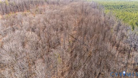 Tiny photo for Rte 623 Worsham Road, Powhatan, VA 23139 (MLS # 2601730)
