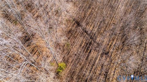 Tiny photo for Rte 623 Worsham Road, Powhatan, VA 23139 (MLS # 2601730)