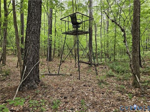 Tiny photo for 981 Scotts Bottom Road, Dillwyn, VA 23936 (MLS # 2612739)