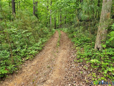 Tiny photo for 981 Scotts Bottom Road, Dillwyn, VA 23936 (MLS # 2612739)