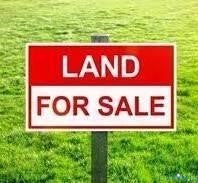 1039 BESTLAND RD, DUNNSVILLE, VA 22454 - Image 4cbdca28dee19e93c04607dff160614d/1194480694