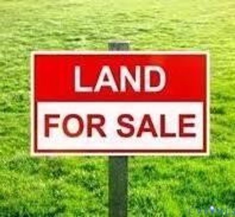 Photo of 1039 Bestland Road, Essex, VA 22454 (MLS # 2618140)