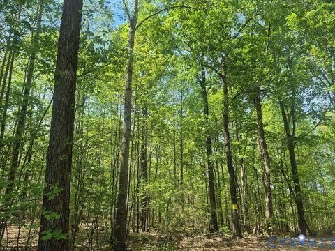 Photo of 00 Deer Run, Cumberland, VA 23901 (MLS # 2617393)