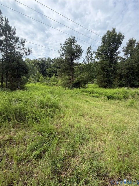 Tiny photo for tbd lot 4 Rolfe Highway, Dendron, VA 23839 (MLS # 2619877)