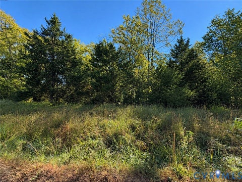 Tiny photo for 0 S genito Road, Burkeville, VA 23922 (MLS # 2628453)