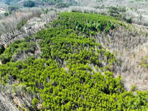 Tiny photo for 30.19 Acres (Off Of) Belvedere Dr, Fieldale, VA 24089 (MLS # 2508850)
