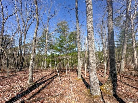 Tiny photo for 30.19 Acres (Off Of) Belvedere Dr, Fieldale, VA 24089 (MLS # 2508850)