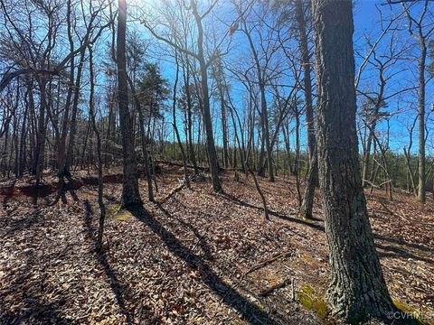 Tiny photo for 30.19 Acres (Off Of) Belvedere Dr, Fieldale, VA 24089 (MLS # 2508850)