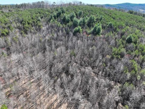 Tiny photo for 30.19 Acres (Off Of) Belvedere Dr, Fieldale, VA 24089 (MLS # 2508850)