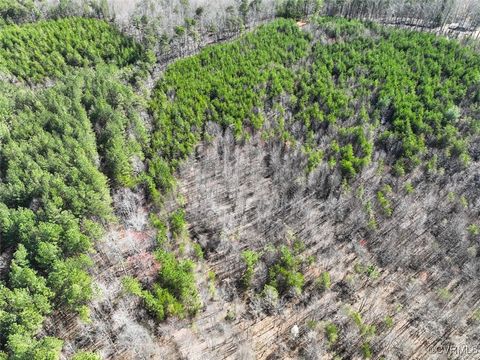 Tiny photo for 30.19 Acres (Off Of) Belvedere Dr, Fieldale, VA 24089 (MLS # 2508850)