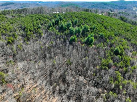 Tiny photo for 30.19 Acres (Off Of) Belvedere Dr, Fieldale, VA 24089 (MLS # 2508850)