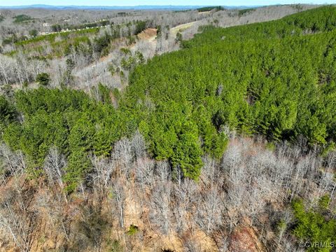 Tiny photo for 30.19 Acres (Off Of) Belvedere Dr, Fieldale, VA 24089 (MLS # 2508850)