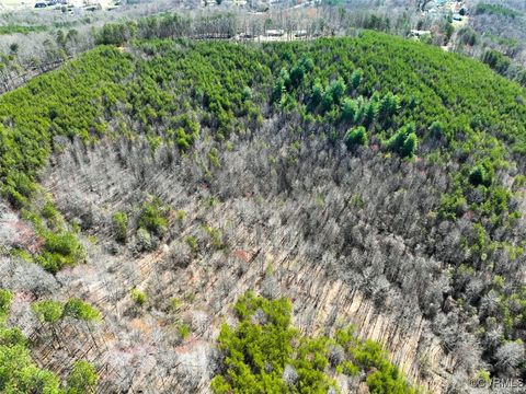 Tiny photo for 30.19 Acres (Off Of) Belvedere Dr, Fieldale, VA 24089 (MLS # 2508850)