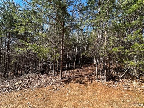 Tiny photo for 30.19 Acres (Off Of) Belvedere Dr, Fieldale, VA 24089 (MLS # 2508850)