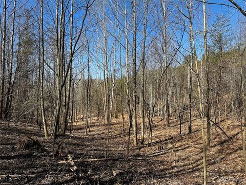 Tiny photo for 30.19 Acres (Off Of) Belvedere Dr, Fieldale, VA 24089 (MLS # 2508850)