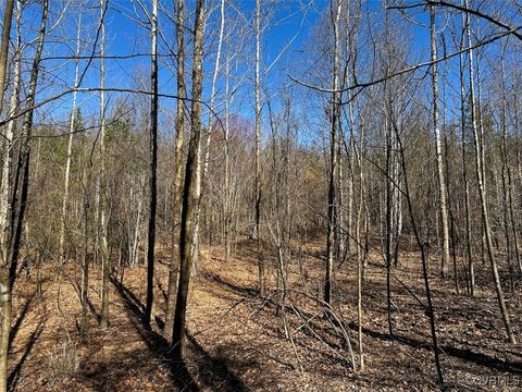 Tiny photo for 30.19 Acres (Off Of) Belvedere Dr, Fieldale, VA 24089 (MLS # 2508850)