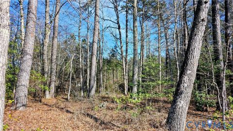 Tiny photo for 0 Loblolly Lane, Disputanta, VA 23842 (MLS # 2607421)