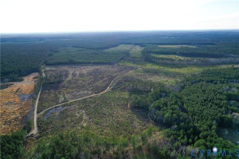 Tiny photo for 0 Loblolly Lane, Disputanta, VA 23842 (MLS # 2607421)