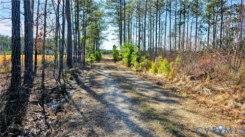 Tiny photo for 0 Loblolly Lane, Disputanta, VA 23842 (MLS # 2607421)