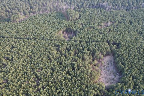 Tiny photo for 0 Loblolly Lane, Disputanta, VA 23842 (MLS # 2607421)