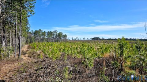 Tiny photo for 0 Loblolly Lane, Disputanta, VA 23842 (MLS # 2607421)