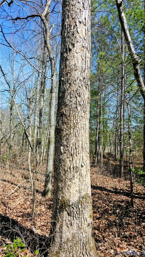 Tiny photo for 0 Loblolly Lane, Disputanta, VA 23842 (MLS # 2607421)