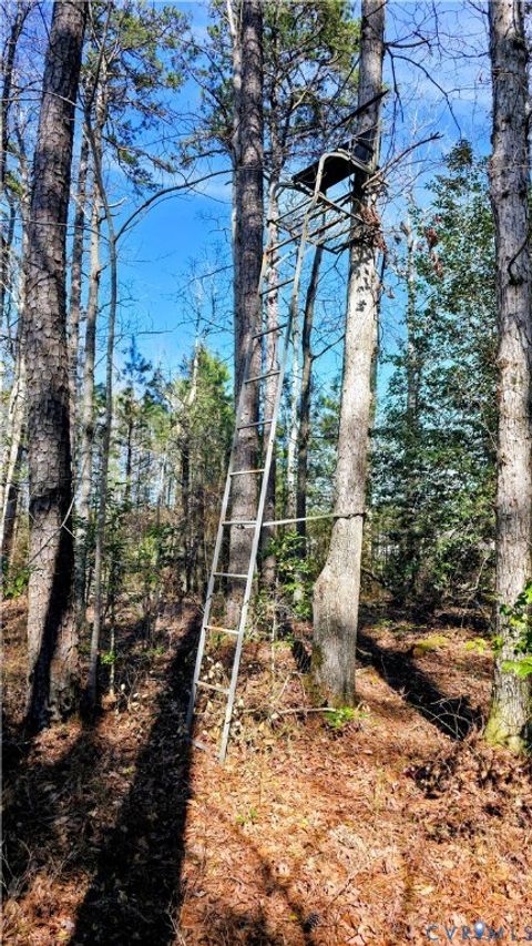 Tiny photo for 0 Loblolly Lane, Disputanta, VA 23842 (MLS # 2607421)