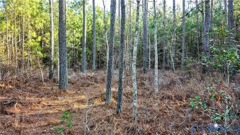 Tiny photo for 0 Loblolly Lane, Disputanta, VA 23842 (MLS # 2607421)