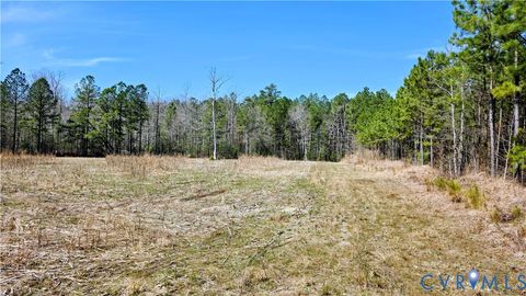 Tiny photo for 0 Loblolly Lane, Disputanta, VA 23842 (MLS # 2607421)