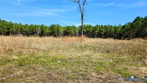 Tiny photo for 0 Loblolly Lane, Disputanta, VA 23842 (MLS # 2607421)