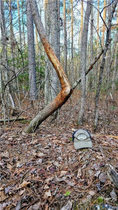 Tiny photo for 0 Loblolly Lane, Disputanta, VA 23842 (MLS # 2607421)