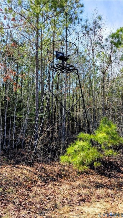 Tiny photo for 0 Loblolly Lane, Disputanta, VA 23842 (MLS # 2607421)