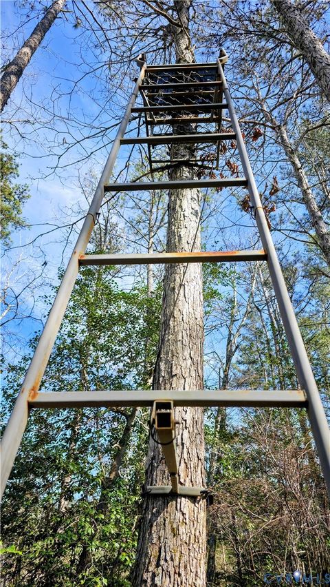 Tiny photo for 0 Loblolly Lane, Disputanta, VA 23842 (MLS # 2607421)