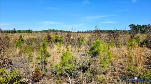 Tiny photo for 0 Loblolly Lane, Disputanta, VA 23842 (MLS # 2607421)