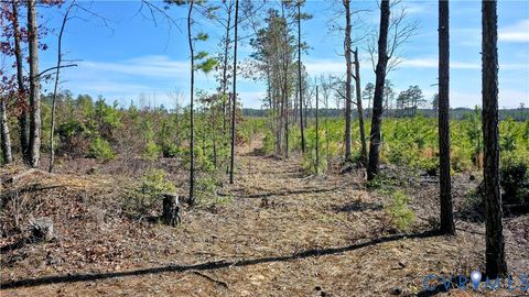Tiny photo for 0 Loblolly Lane, Disputanta, VA 23842 (MLS # 2607421)