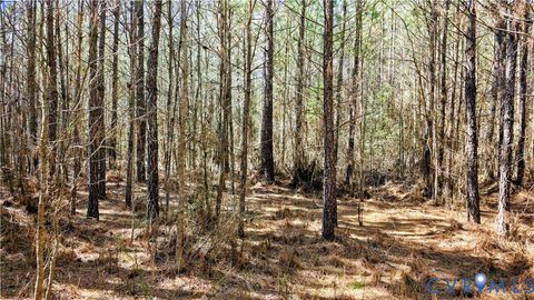 Tiny photo for 0 Loblolly Lane, Disputanta, VA 23842 (MLS # 2607421)