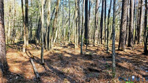 Tiny photo for 0 Loblolly Lane, Disputanta, VA 23842 (MLS # 2607421)