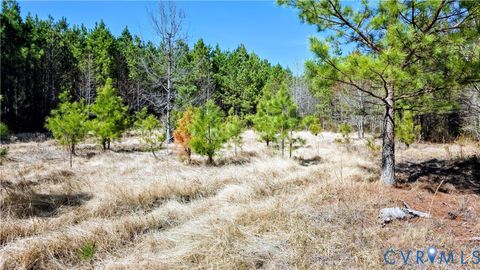 Tiny photo for 0 Loblolly Lane, Disputanta, VA 23842 (MLS # 2607421)