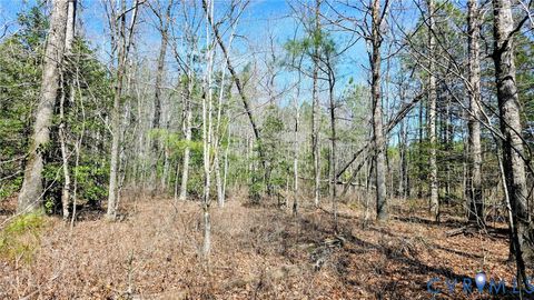 Tiny photo for 0 Loblolly Lane, Disputanta, VA 23842 (MLS # 2607421)