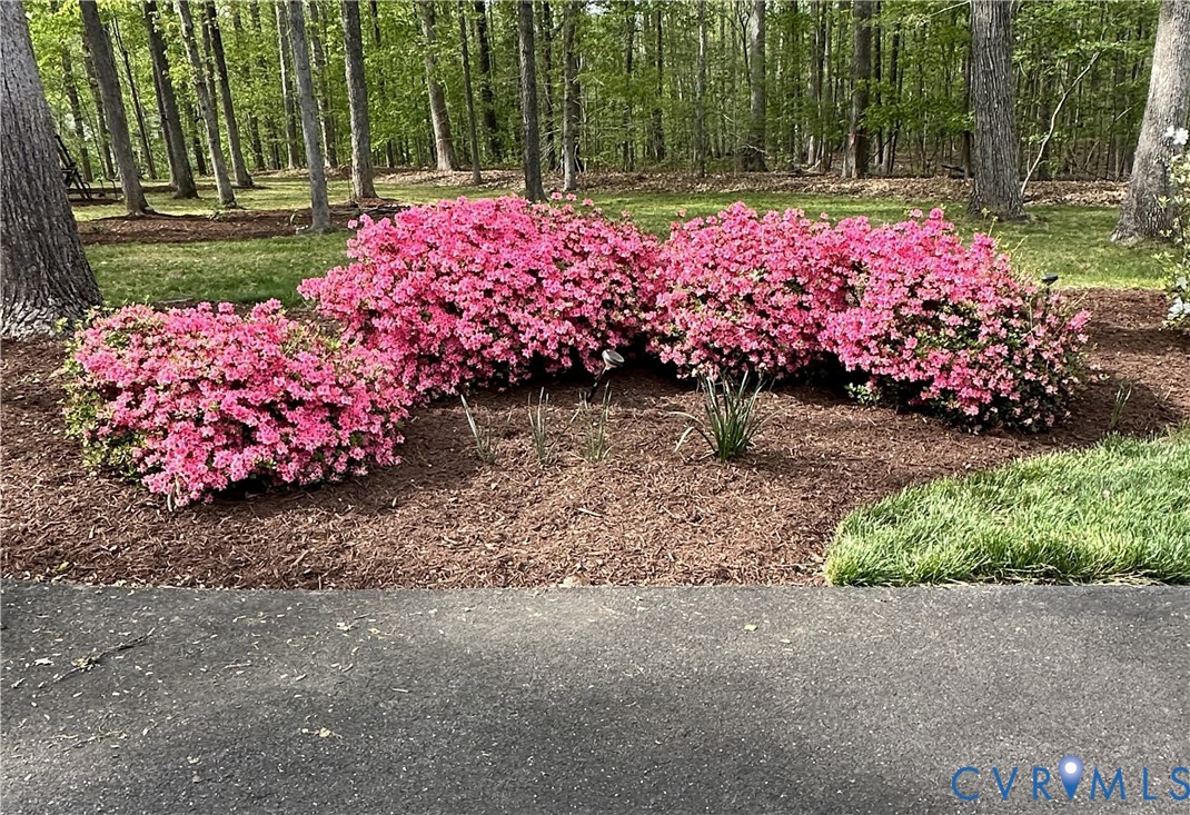 2340 BRANCHWAY Creek