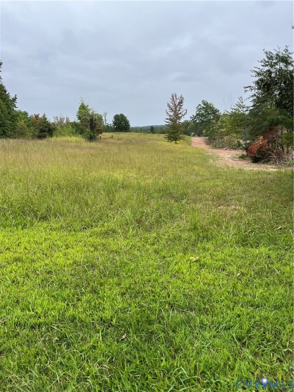 View of yard featuring a view of rural / pastoral