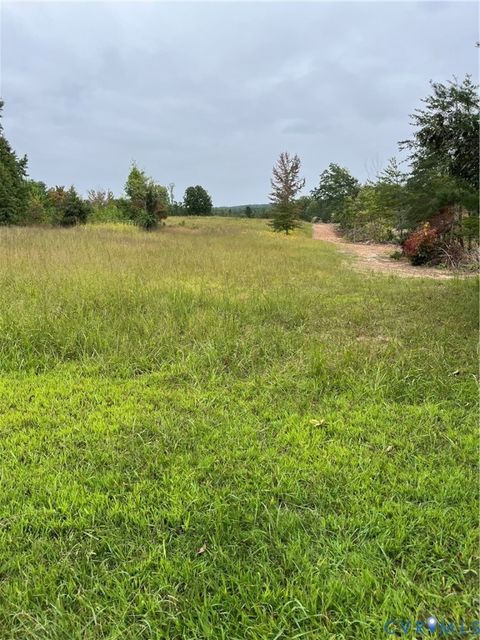 Photo of 0027 Aspen Grove Road, Buckingham, VA 23901 (MLS # 2526099)