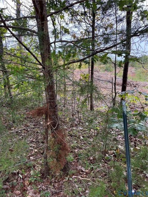 Tiny photo for 0027 Aspen Grove Road, Buckingham, VA 23901 (MLS # 2526099)
