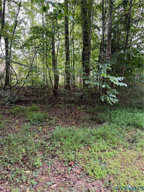Tiny photo for 0027 Aspen Grove Road, Buckingham, VA 23901 (MLS # 2526099)