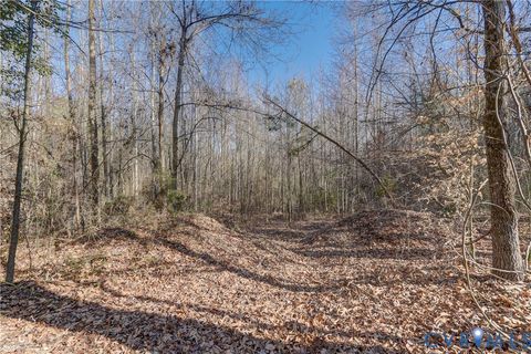 Photo of 20905 Matoaca Road, Chesterfield, VA 23803 (MLS # 2607544)