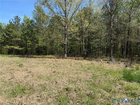 Tiny photo for TBD Blue Star Highway, Jarratt, VA 23887 (MLS # 2611508)