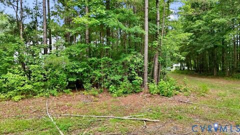 Tiny photo for TBD Blue Star Highway, Jarratt, VA 23887 (MLS # 2611508)