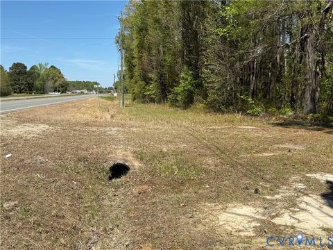 Tiny photo for TBD Blue Star Highway, Jarratt, VA 23887 (MLS # 2611508)
